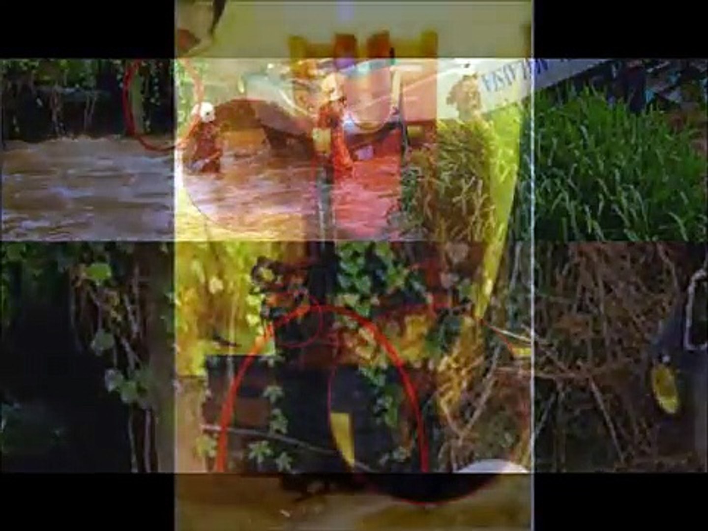 Real, Scary, Ghost Pictures