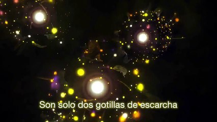 LAGRIMAS DE ESCARCHA