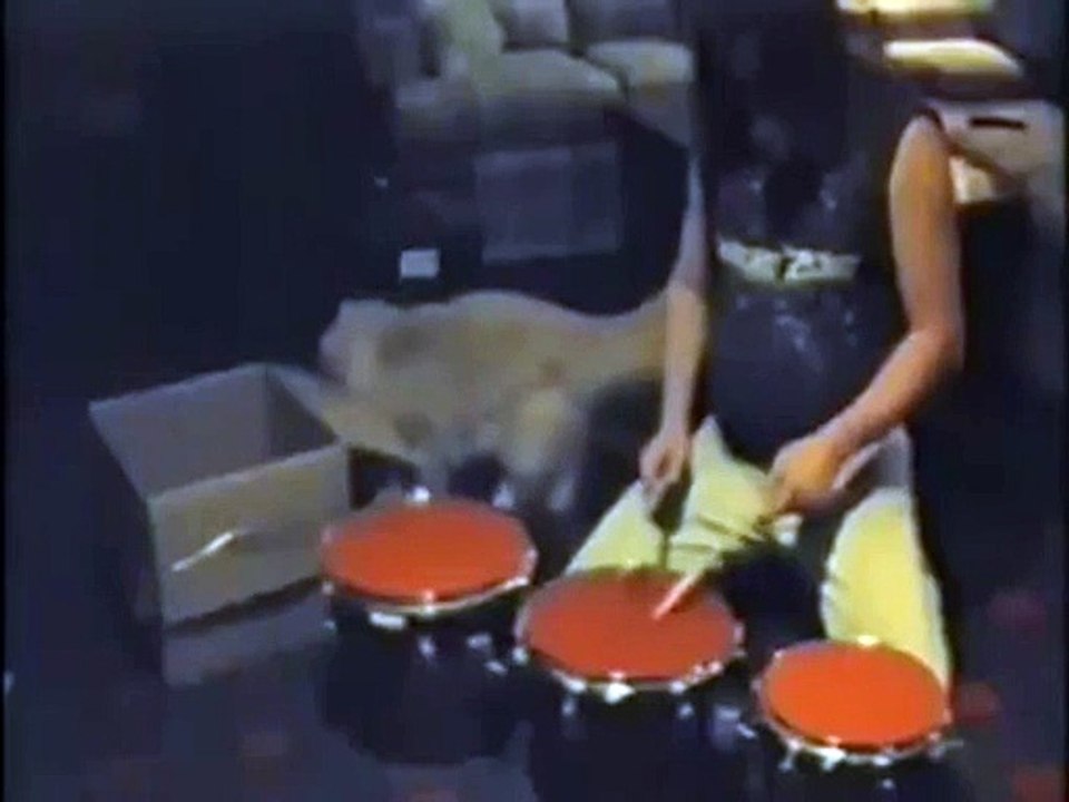 Drummer Cat! :D