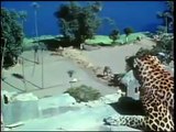 Леопард поставил на место обуревшую гиену.