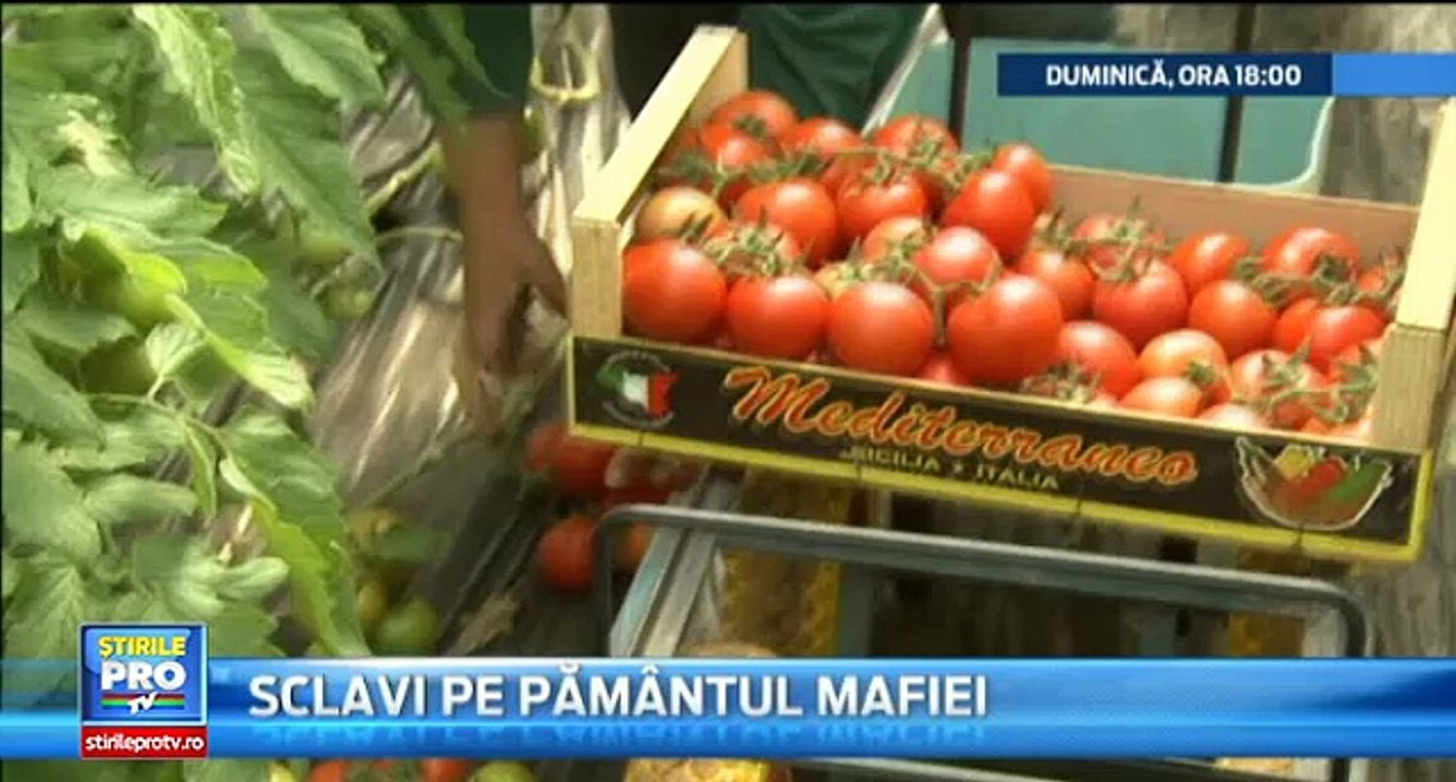 Duminica la "Romania, te iubesc!". Povestile de succes ale romanilor din Sicilia: "Am investit 25.000 euro. Profitul? 50.000"