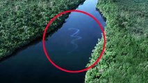 Фото самой большой змеи в мире!