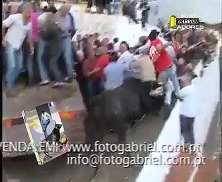 Bullfights With Human's