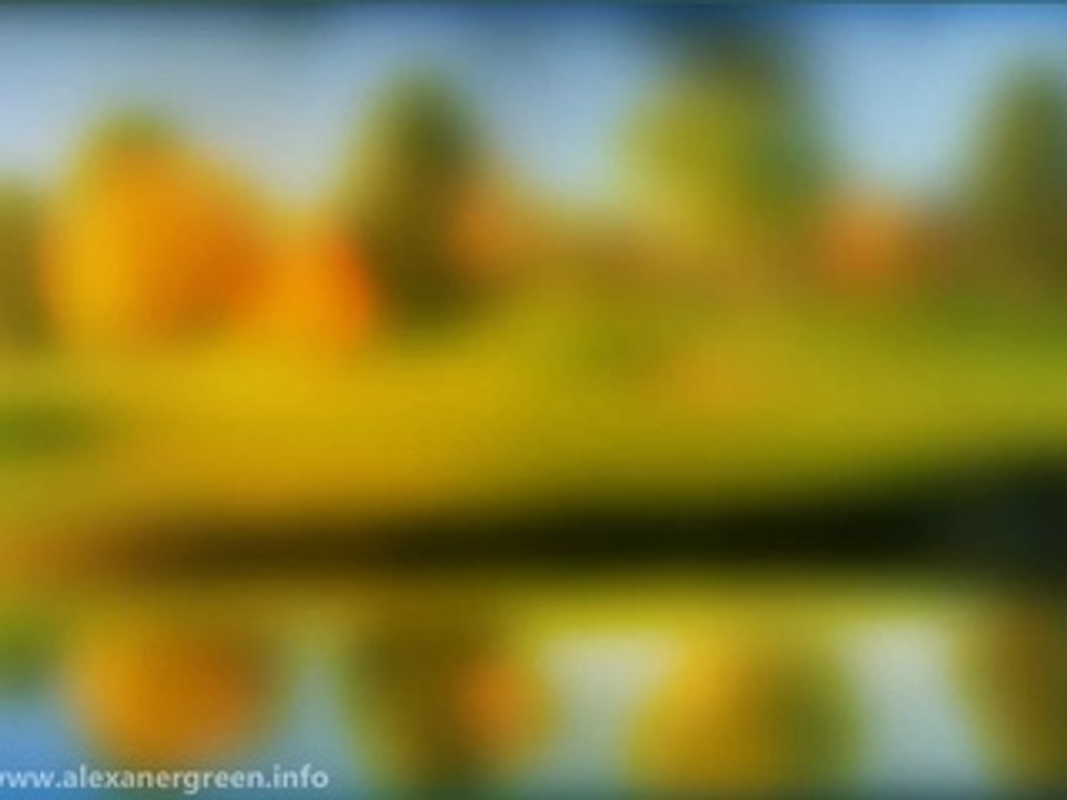 Blogging Tips for Beginners: SEO? On Page Search Engine Optimization 101