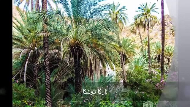 Targua n'touchka chtouka ait baha