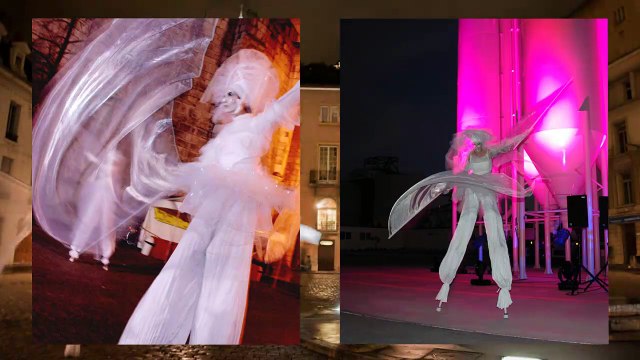 Les Féérix du Gang des Girafes