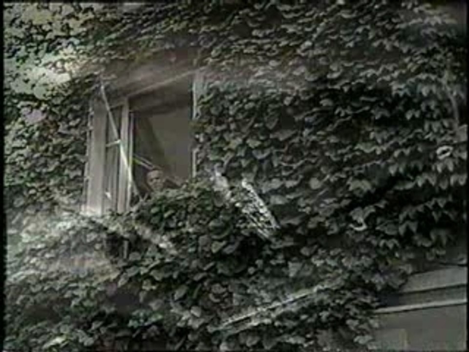 Brassens _Oncle Archibald