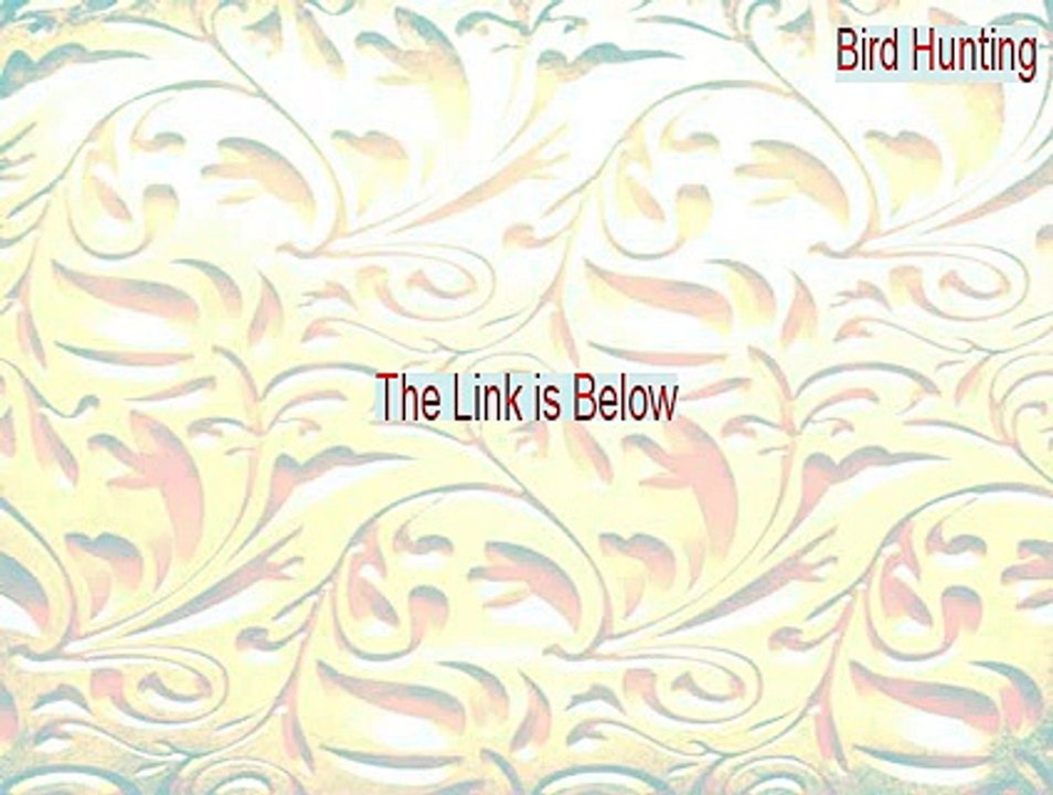 Bird Hunting Cracked (Download Here)