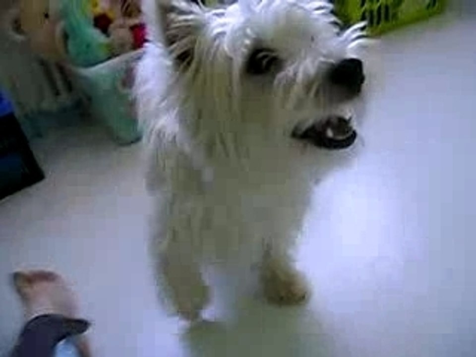 Buzz et le chien en peluche