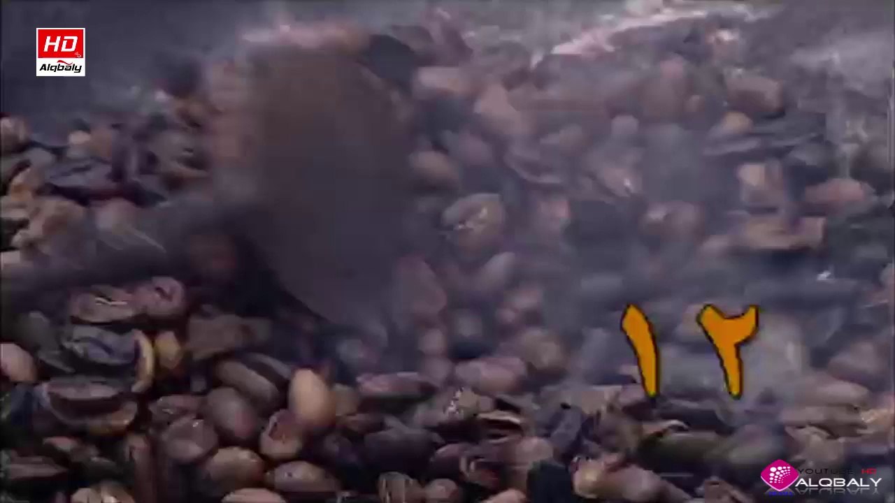 مسلسل اخر الفرسان الحلقة 12 جودة عالية