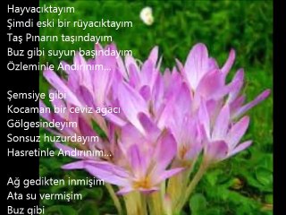 ANDIRINIM - Dagbey Şiirleri