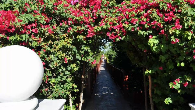 Cuba - Cayo Santa Maria