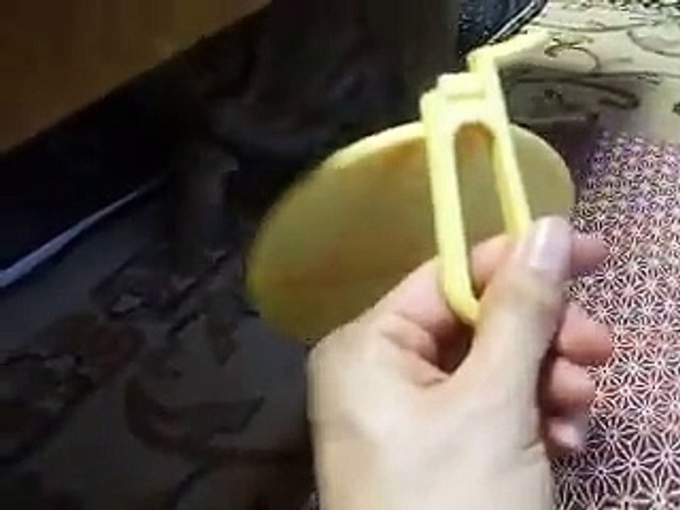 funny cat VS mirror part1(pet kitty animal video movie )