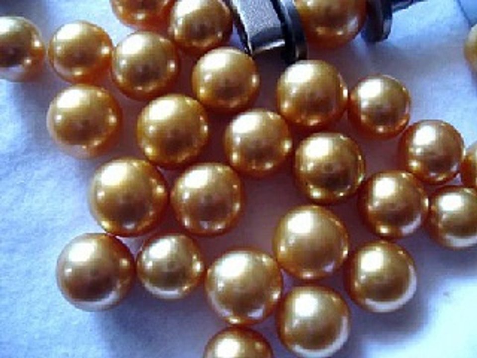 Golden South Sea Pearls Wholesale Lombok Pearls Indonesia Miss Joaquim Pearls