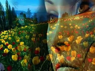 niran ünsal gönül hancım