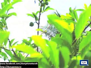 Dunya News - Rain in Lahore, Islamabad turn weather cold