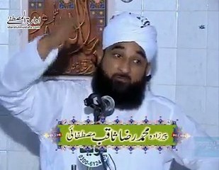مولانا محمد ثاقب رضا صاحب اسلوب ِ شاعری