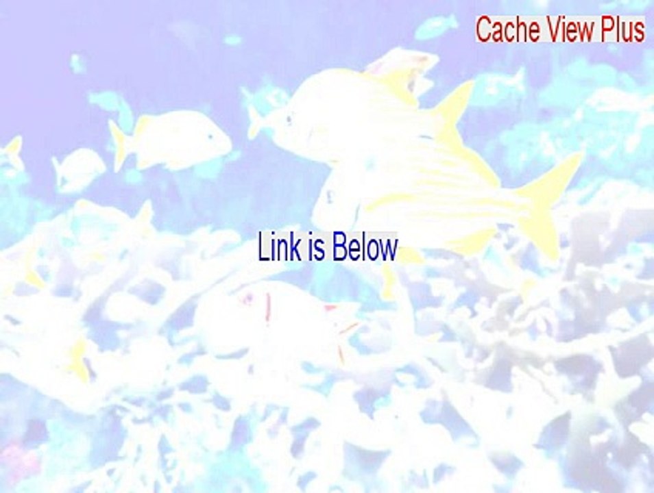 Cache View Plus Key Gen [Free Download]