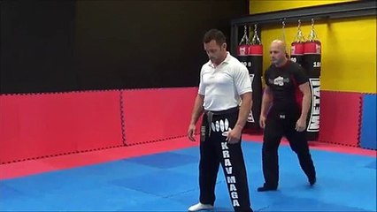 karim clemenceau self defense krav maga