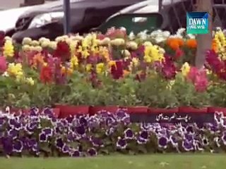 Basant Festival held in Karachi