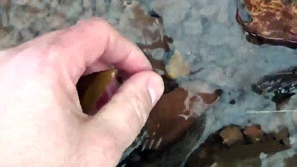 Arrowhead Hunting - 01/01/2015 - Mason County, West Virginia