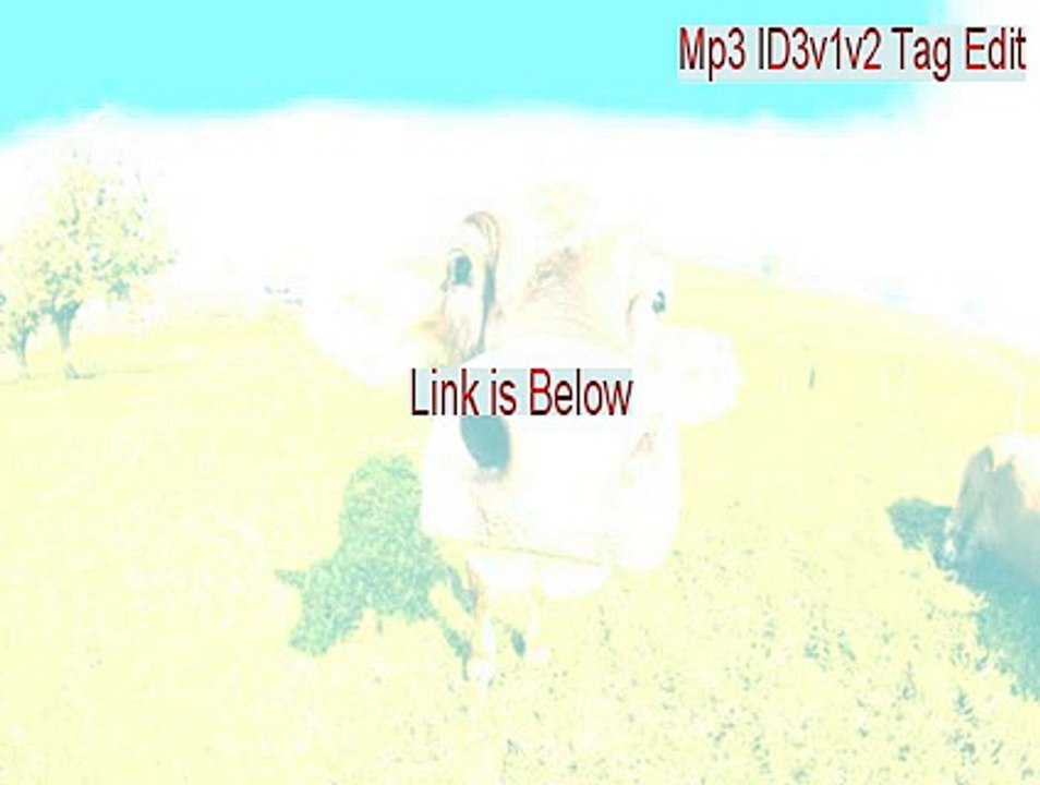 Mp3 ID3v1v2 Tag Edit & Sort Tool Cracked [mp3 id3v1v2 tag edit sort tool]
