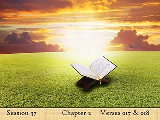 Discover the Quran: Elsharawy’s English Explanation - Part 12 📖