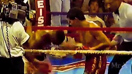 Julio Cesar Chavez Career Highlights