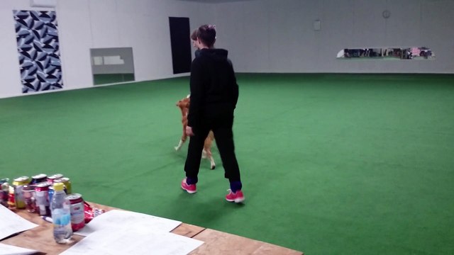 Selexy tävlar 6+, 150228, på Dans i Degerfors