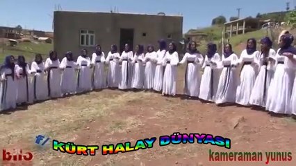 İŞTE BİZİM KÜRT DÜĞÜNÜ BÖYLEDİR