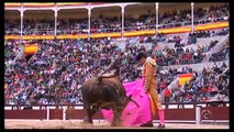 Bull Riding and Bull Fighting Fail Compilatian