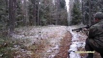 urban Wildschwein-Jagd in Russland.