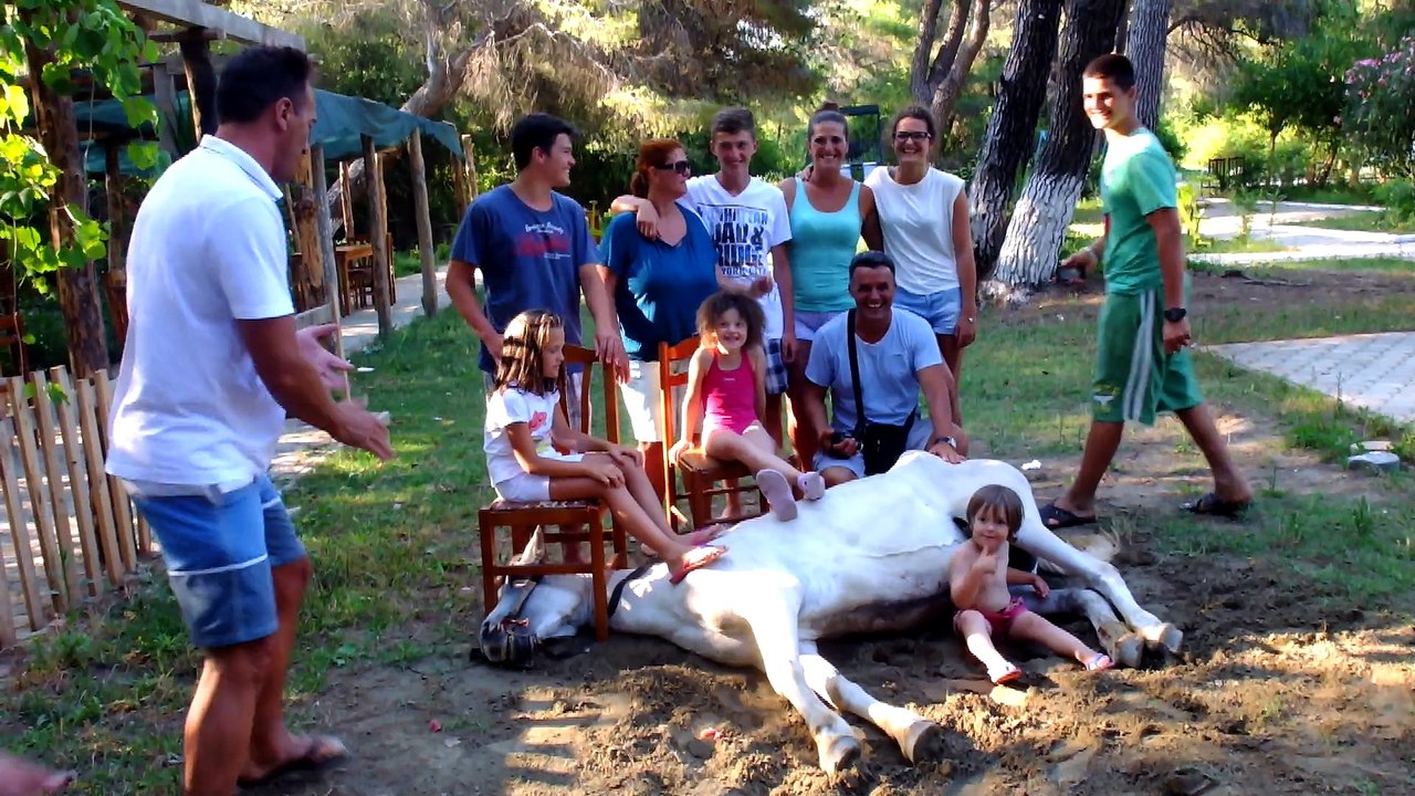 Chez Ali Kali