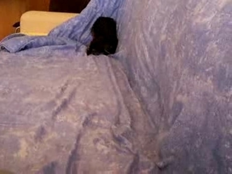 Coup de folie de Lola après le bain