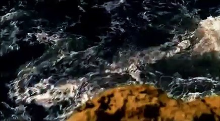 Espírito Santo; Abrigo de Deus