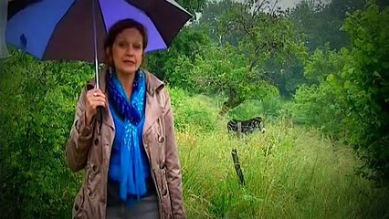 Principes de permaculture en montagne Morvan - France