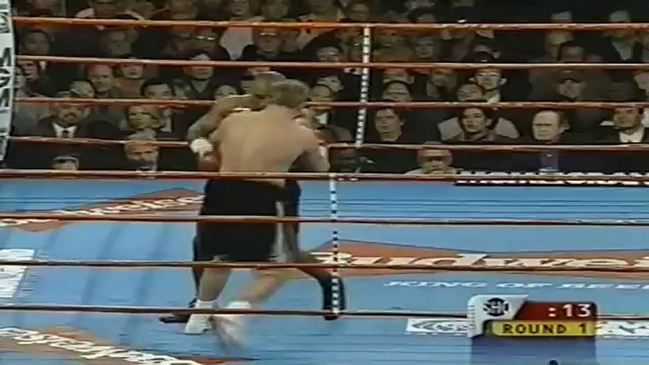 Tyson vs Botha