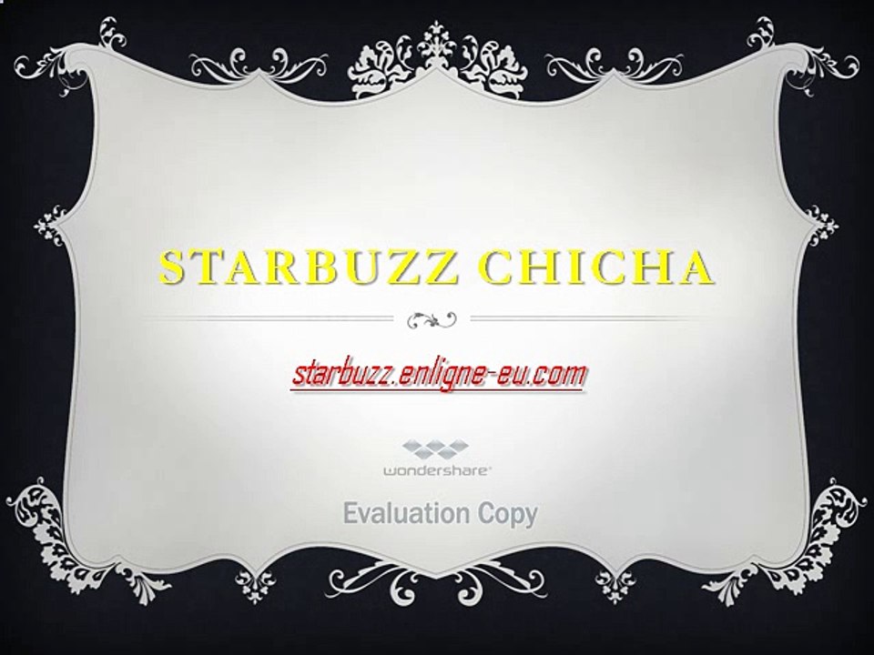 Starbuzz Chicha