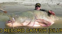 Balık Avlama Rekoru 127 Kilo Yayın Balığı!