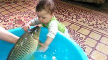 funny animals fish kiss a little boy حيوانات طريفة سمكة تقبل طفل صغير لا تخرج حتي تقول سبحان الله و تنشر