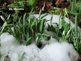 سامي يوسف_مناجاة _ وحدي في ظلمة ليلي