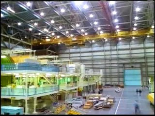 THE MIRACLES IN BIRDS