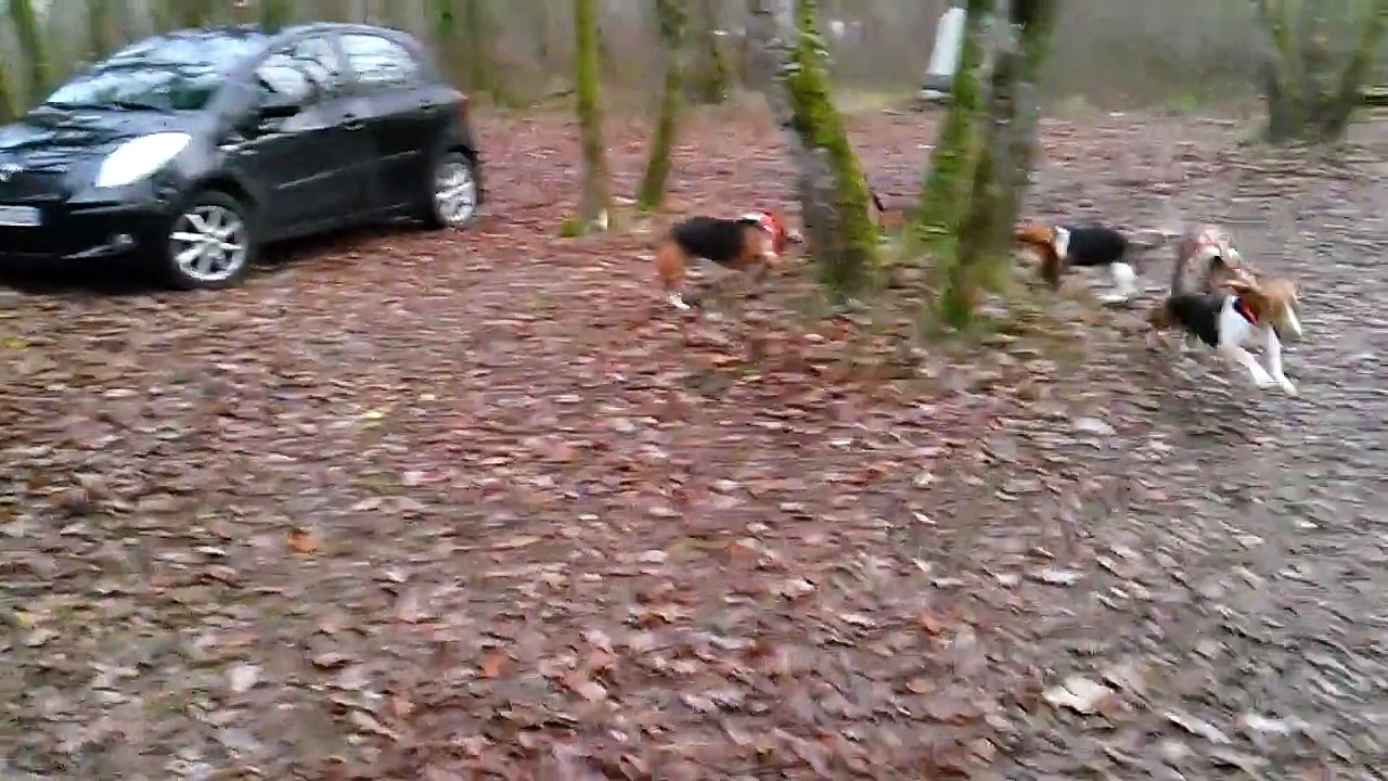 WP_20141213_002[1]Départ de chasse de l'équipage de la Petite Dordogne.