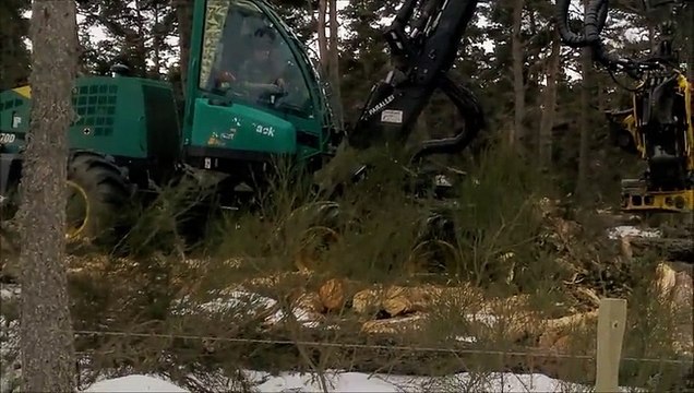 Chantier Le mazel, Lycée Forestier de Saugues