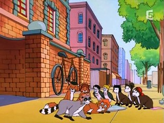 Le Bus magique - S04E12 - Dans la jungle des villes