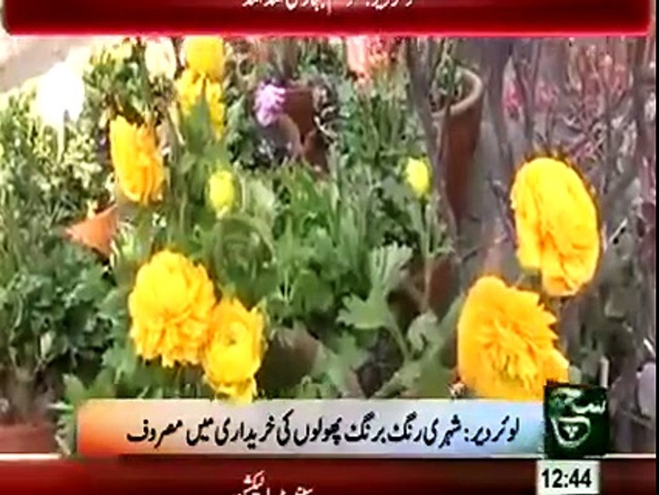 Lower Dir. Mosam Bahar