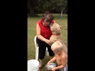 Défigurée par son Pitbull pendant un Ice Bucket Challenge