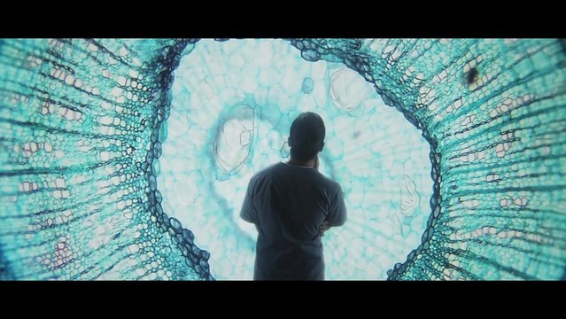 HTC Re Vive : le casque de réalité virtuelle par HTC et Valve