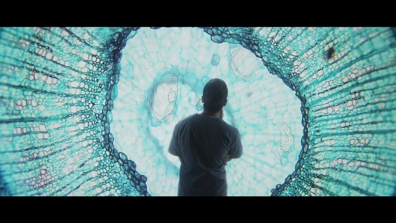 HTC Re Vive : le casque de réalité virtuelle par HTC et Valve