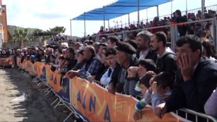 Antalya - Develer Alanya'da Güreşti